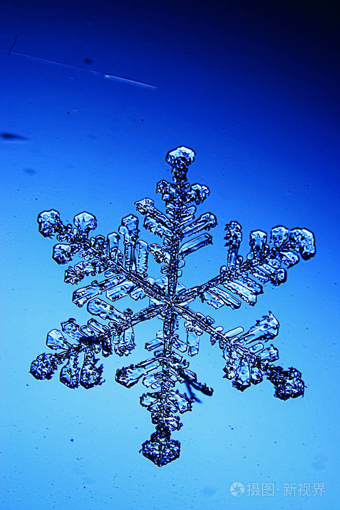 蓝色背景上的雪花