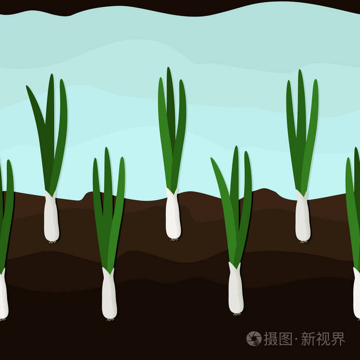 生长的葱媒介背景