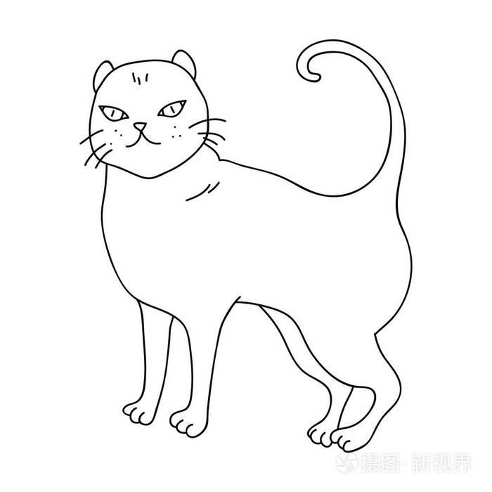摄图新视界>插画>英国短毛猫图标在白色背景上孤立的轮廓样式.