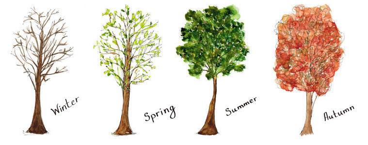 素描手绘水彩组的四个季节树与孤立的刻字