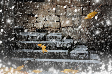 明月在下雪的夜晚风景背景图片