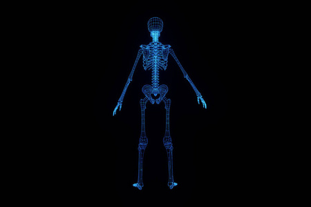 人类的骨架线框中运动全息图。漂亮的 3d 渲染