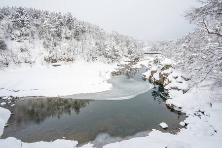 在古村落的白川乡河