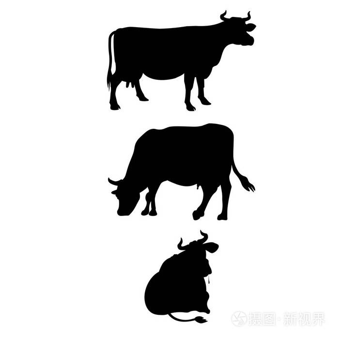 母牛的黑色剪影
