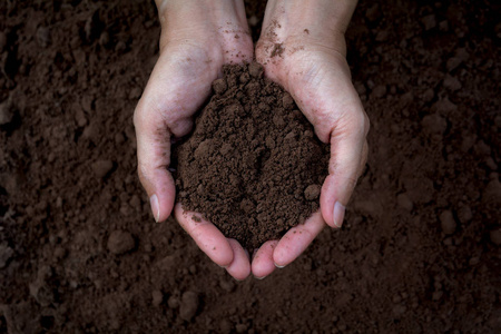 男性拿着泥土在手里种植。生态学概念