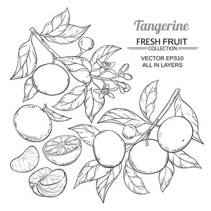 橘瓣的里脊肉图片-橘瓣的里脊肉素材-橘瓣的里脊肉插画-摄图新视界