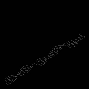 Dna 螺旋。黑色背景上的孤立。矢量大纲说明