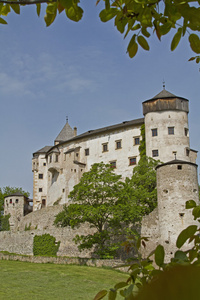 城堡在南蒂罗尔 Proesels