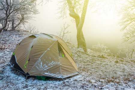 rouristic 冬令营在清晨