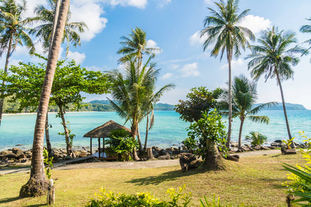 美丽的海岛天堂与椰子棕榈树在海和海滩上白云和蓝天假日假期概念