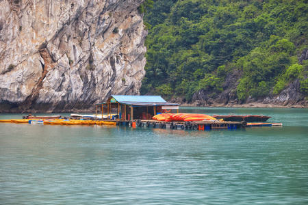 在龙湾浮动亚运村图片