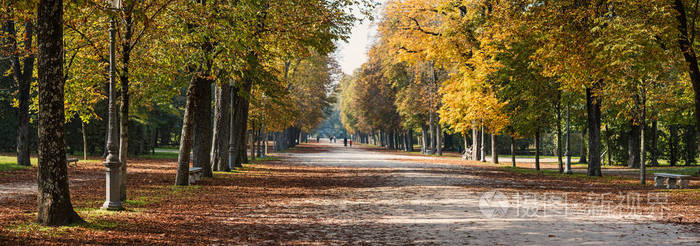 公爵公园秋观与板栗树。帕尔马, 意大利埃米利亚罗曼尼亚地区