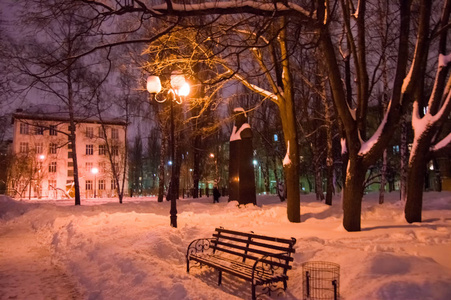 城市公园里有长凳树木和街灯的深雪。冬夜照片公园与雪堆