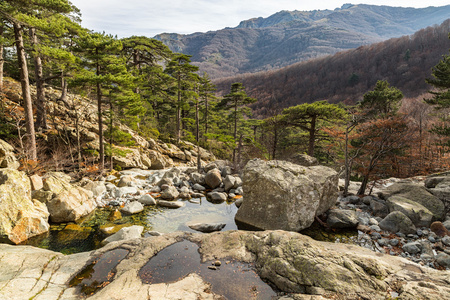 树和山从梯级步之遥在科西嘉岛