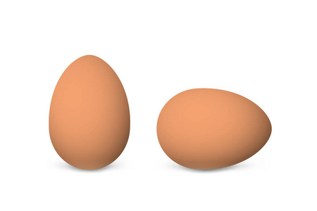 两个向量现实棕色鸡蛋