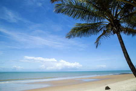 晴朗的日子，在巴拉巴西海滩海岸做 Cahy，巴伊亚州，Br