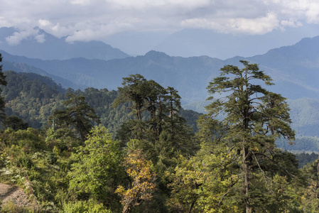 树以山范围在背景, Dochula 通行证, 廷布, 不丹