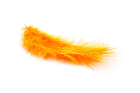 橙色的装饰羽毛