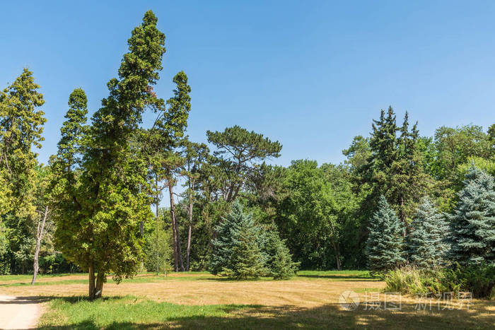 Askania, 乌克兰 Dendrological 公园景观