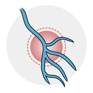 静脉图标图片
