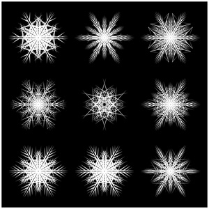 圣诞雪花 霜片状剪影图标 符号 设计。孤立在黑色背景上的冬天，水晶矢量图