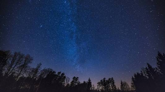 美丽的夜空与银河上空的森林。夜景