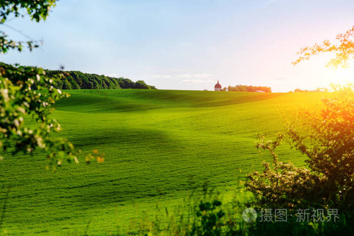 早晨风景与绿色领域踪影拖拉机在太阳射线