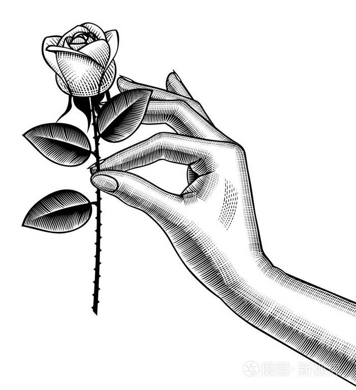 手持白玫瑰的女子手插画-正版商用图片0o6dhh-摄图新视界