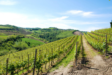 皮埃蒙特的 Langhe 山