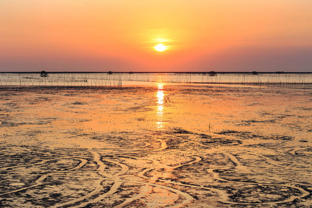 在海边和轮廓壳农场湿地的日落图片