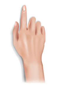 现实女性手3d。手被隔离在白色背景上。矢量插图