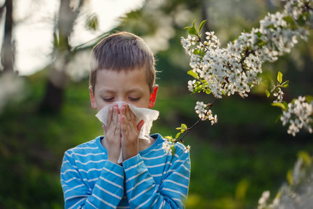 小男孩打喷嚏是因为对花粉过敏照片