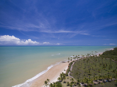 空中查看绿色的海洋，在巴西海滩海岸阳光明媚的日子