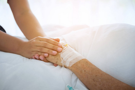 保健和医疗概念医生安慰病人年轻的拉布拉多猎犬小狗在兽医医生安慰