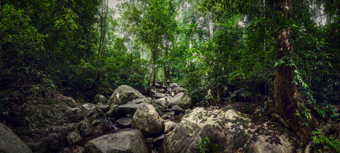 泰国丛林瀑布, 然后在泰国的丛林.大全景.森林中的巨石照片