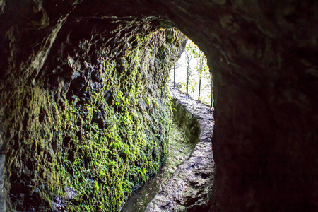 Levada Caldeirao, 马德拉