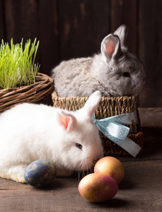 可爱复活节兔子与色的蛋