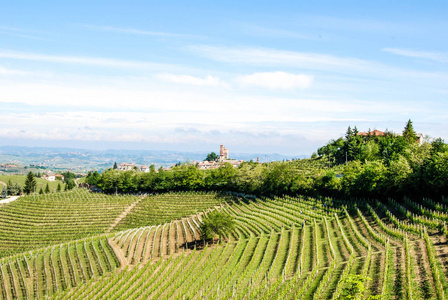 皮埃蒙特的 Langhe 山