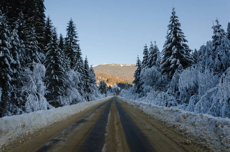 冬山景观。云杉的冠状会导致道路