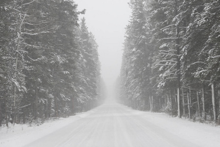 雪覆盖的道路与树木, 约翰逊峡谷, 班夫国家公园, 艾伯塔省, 加拿大