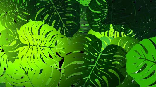 龟背竹的叶子图案 3d 渲染
