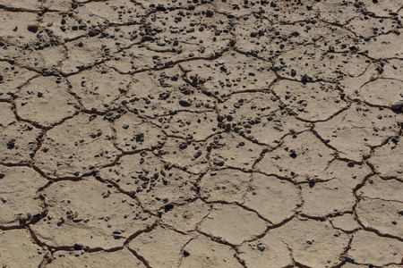 干燥的土地遭受旱灾裂缝中一个巨大区域的部分