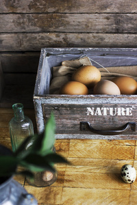 老木箱里的棕鸡蛋, 家庭农场