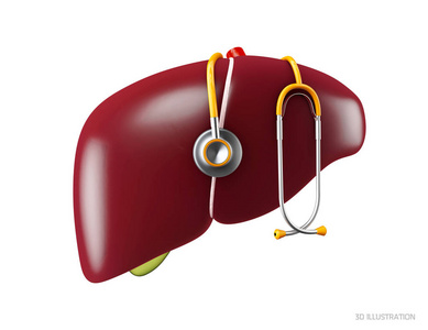 3d. 人体肝脏解剖示意图。人体内脏符号. 3 d 例证在白色背景被隔绝了