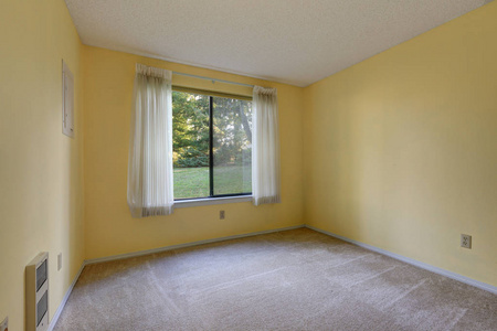 墙到墙地毯地板空黄色房间