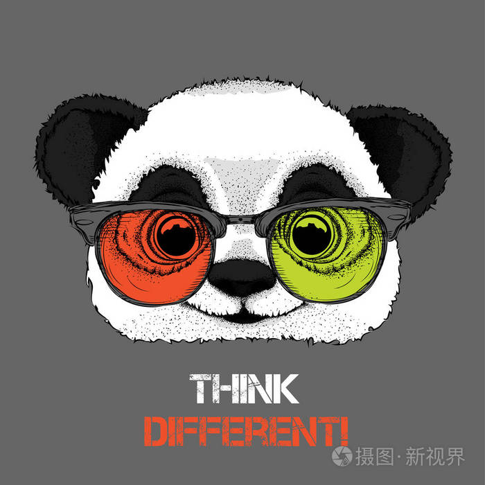 在彩色眼镜的熊猫肖像.认为不同.矢量插图