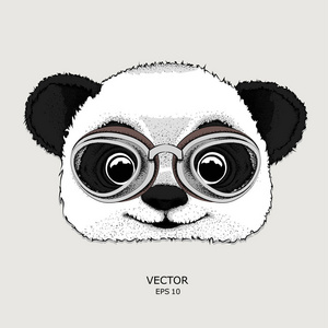 那张海报上戴着摩托车眼镜的熊猫肖像.矢量插图照片