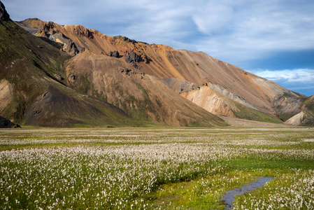 Fjallabak 自然保护区的 Landmannalaugar 山。冰岛