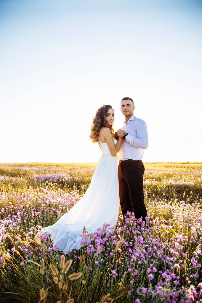 美丽的一对野外情侣或在日落时摆姿势的新婚夫妇