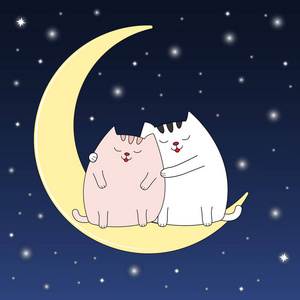 最好的猫卡一只美丽的两只可爱的猫坐在月亮上照片